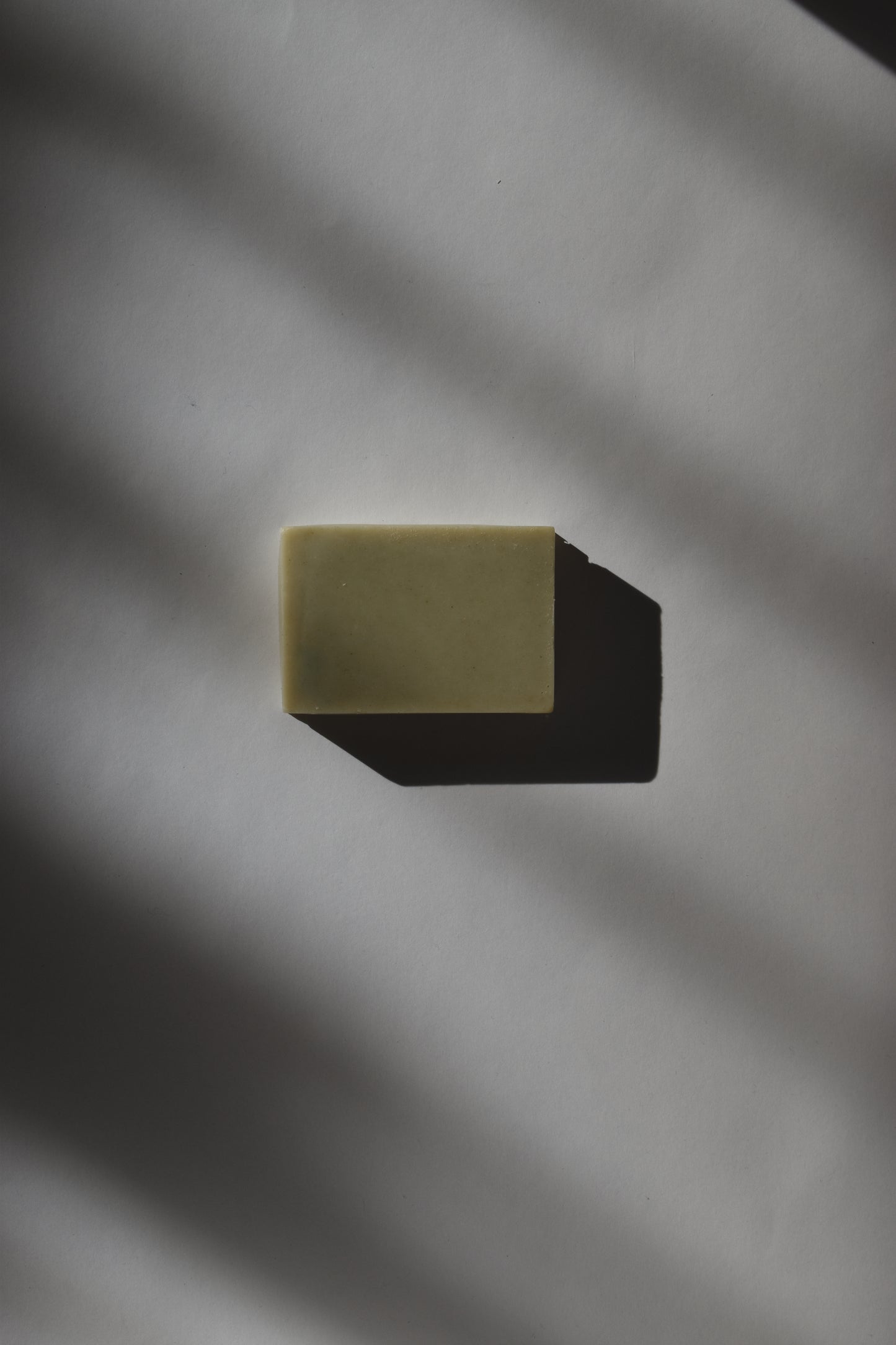 Jabón corporal de castaño de indias y alga