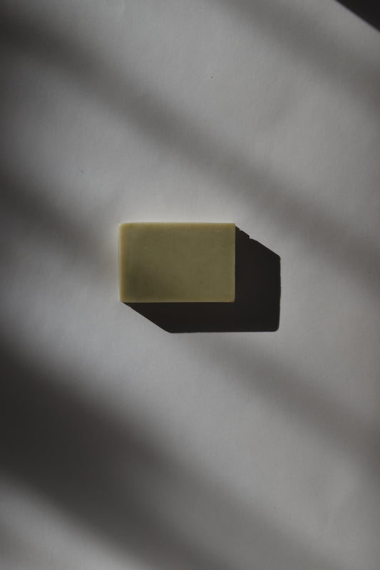 Jabón corporal de castaño de indias y alga